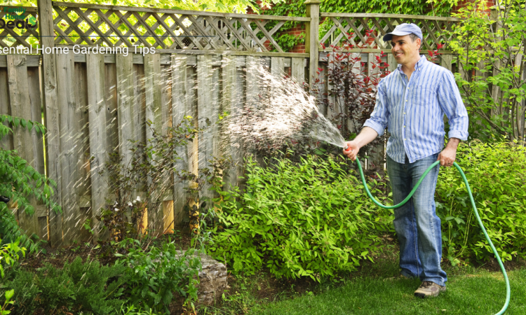 Essential Home Gardening Tips