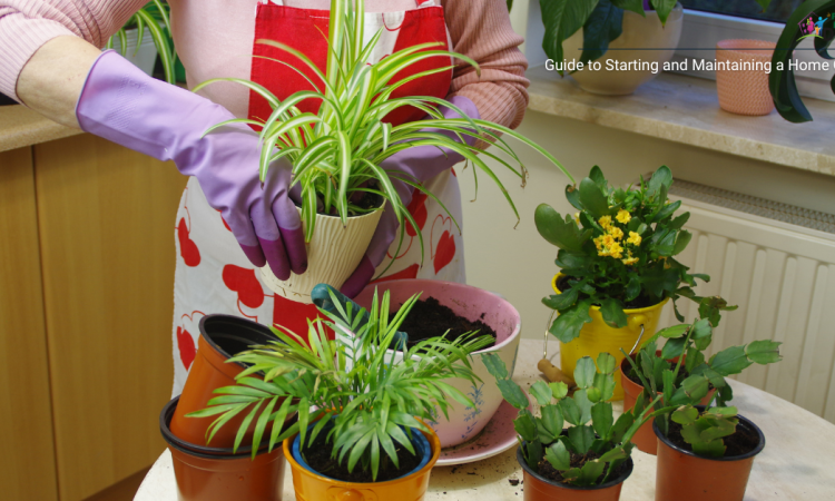 Guide to Starting and Maintaining a Home Garden