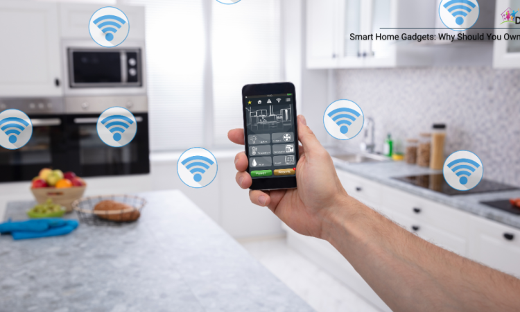 Smart Home Gadgets Why Should You Own Them